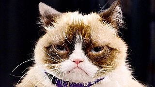 Изображение для Откуда берутся недовольные клиенты психолога?