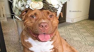 Изображение для Разрыв шаблона: что такое когнитивный диссонанс, примеры неправильного употребления термина и как достичь консонанса