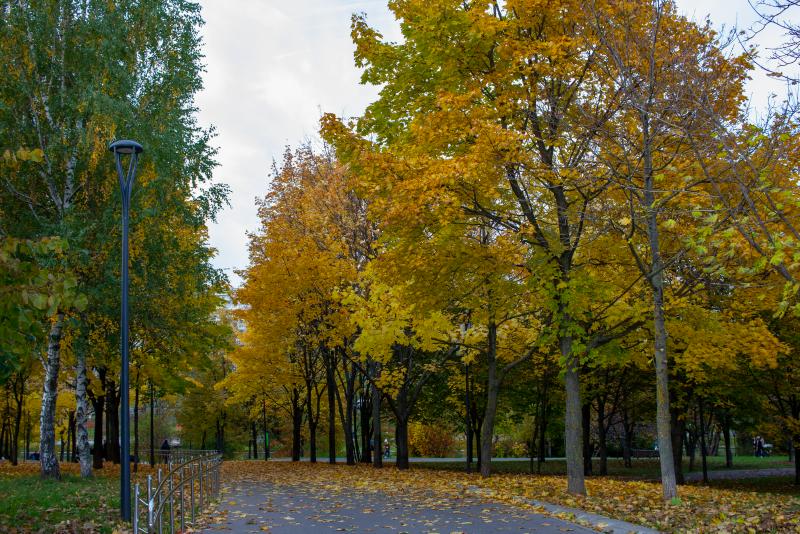 Изображение для Как бороться с осенней хандрой?