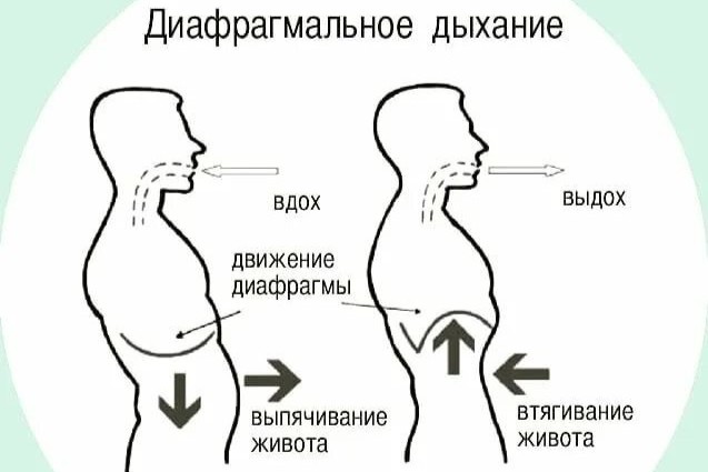 Диафрагмальное дыхание насыщает легкие кислородом и расслабляет нервную систему