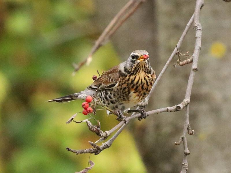 Изображение для Почему «быть хорошим» — это манипуляция, за которую вы платите своим ресурсом?
