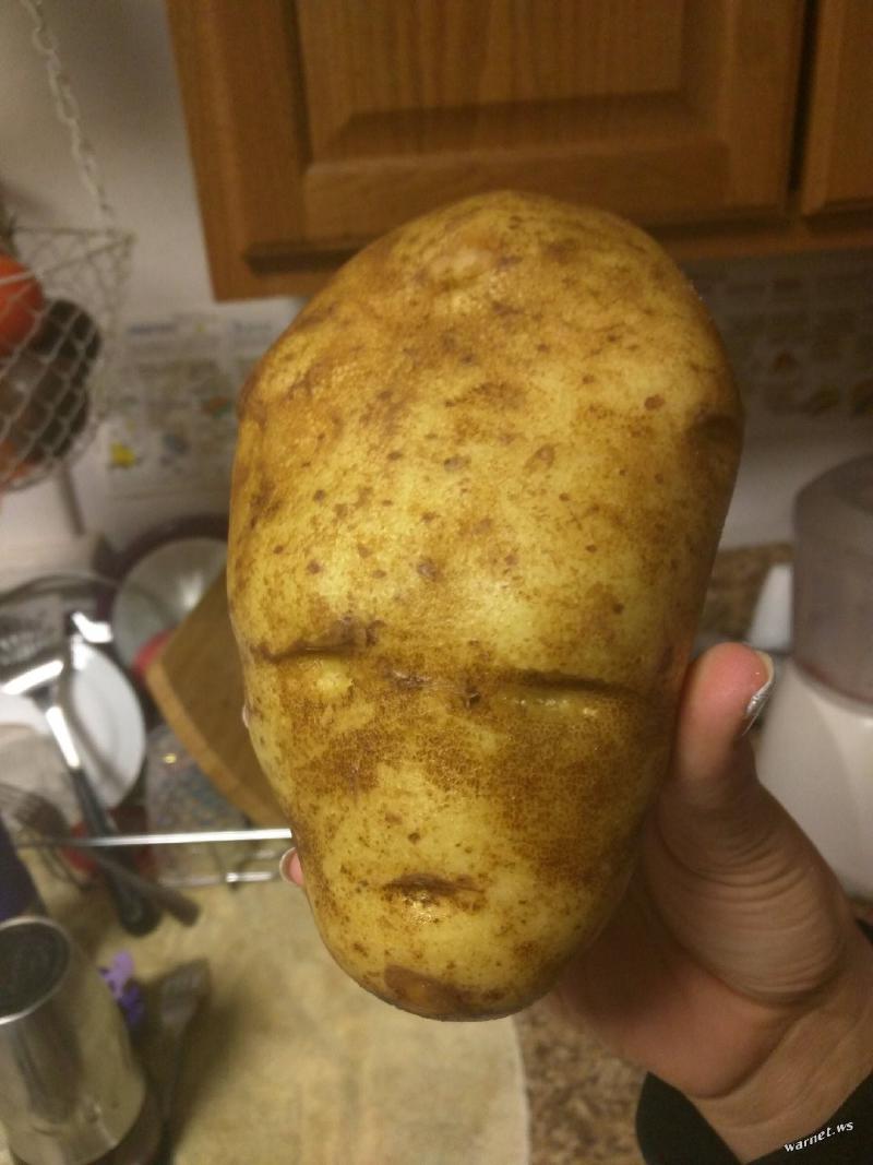 В 30-х годах в СССР тайные знаки искали массово в разных городах нашей страны