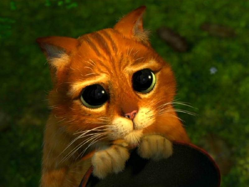 Жертва постоянно заискивает и извиняется перед тираном