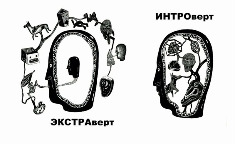 Интроверсия и экстраверсия по Юнгу — 2 вида направленности личности по типу отношения к миру