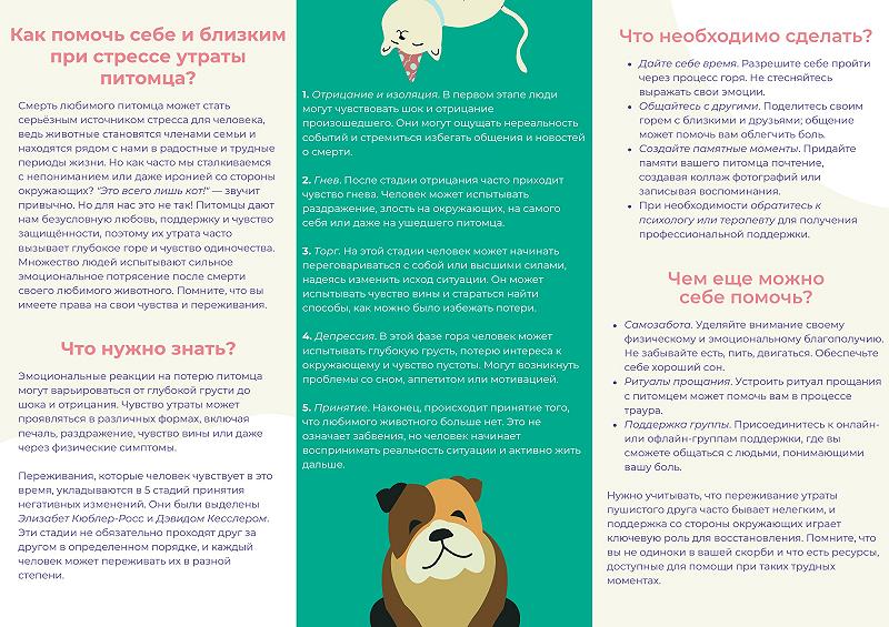 Как помочь себе и близким при стрессе утраты питомца?